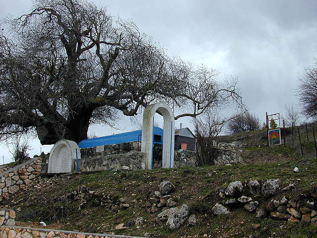 Rabbi Tarfon #3