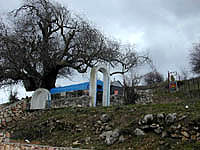 Rabbi Tarfon #3